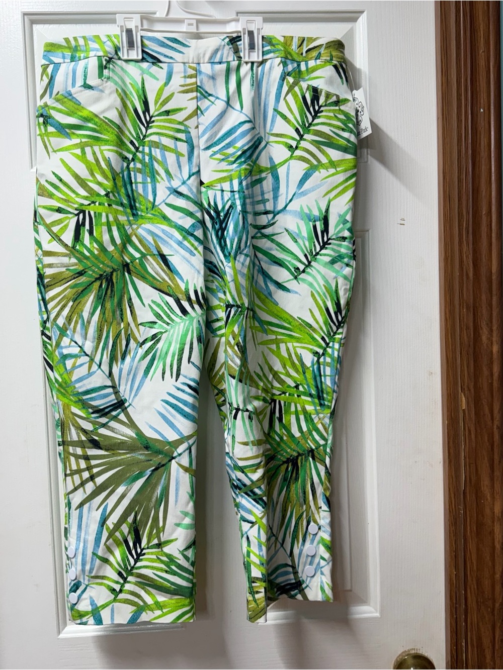 Tropical Palm Print Cropped Pants - Green & Blue Kate park 1x